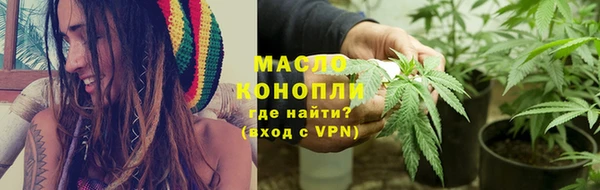дмт Инта