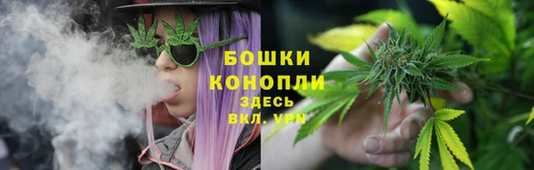 дмт Инта