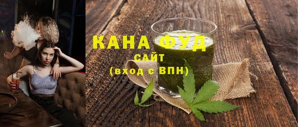 молекула духа Инсар