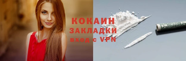 дмт Инта