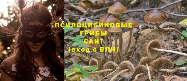 дмт Инта
