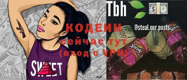 молекула духа Инсар