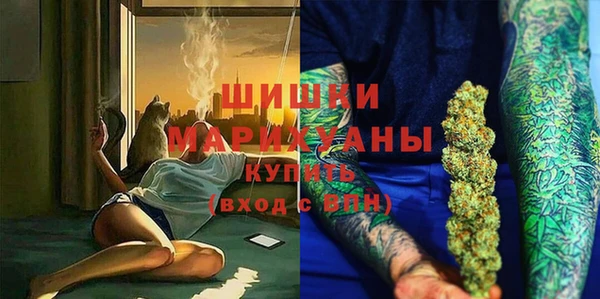 молекула духа Инсар