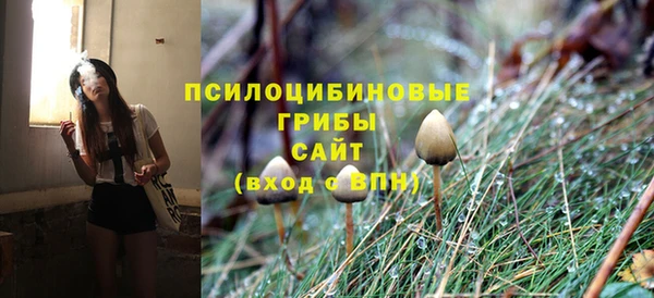 молекула духа Инсар