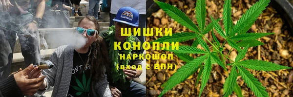 молекула духа Инсар