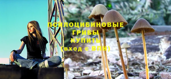 не бодяженный Иннополис