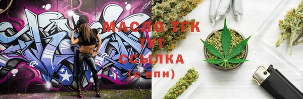 дмт Инта