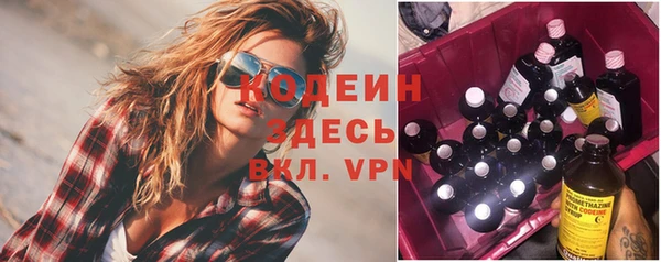 не бодяженный Иннополис