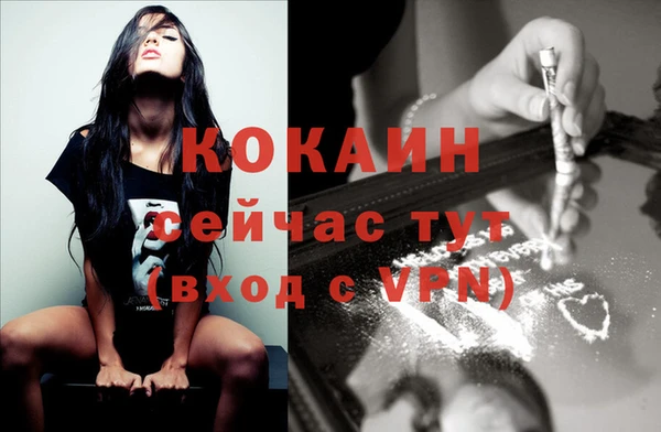 дмт Инта