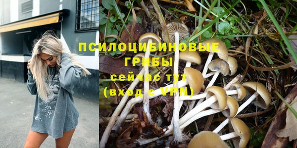 не бодяженный Иннополис