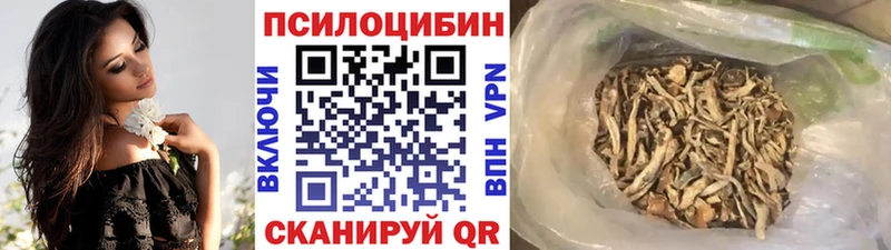Купить где  Дивногорск  Псилоцибиновые грибы Psilocybe 